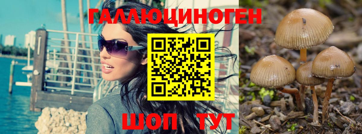 Нижневартовск  Псилоцибиновые грибы мухоморы  Псилоцибиновые грибы мицелий  Вход с VPN 